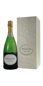 Palmer & Co Grands Amazone de Palmer Champagne