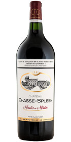 Château Chasse-Spleen 2004 Magnum Bordeaux Moulis-en-Medoc